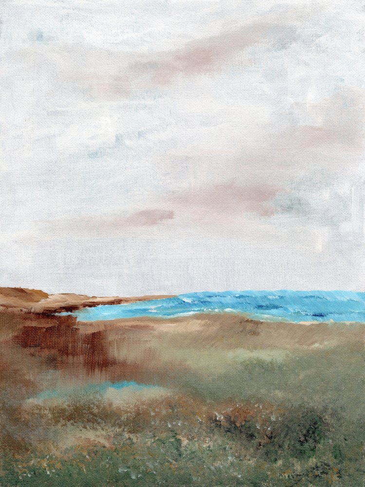 Paisaje sereno de playa de Nikita Jariwala