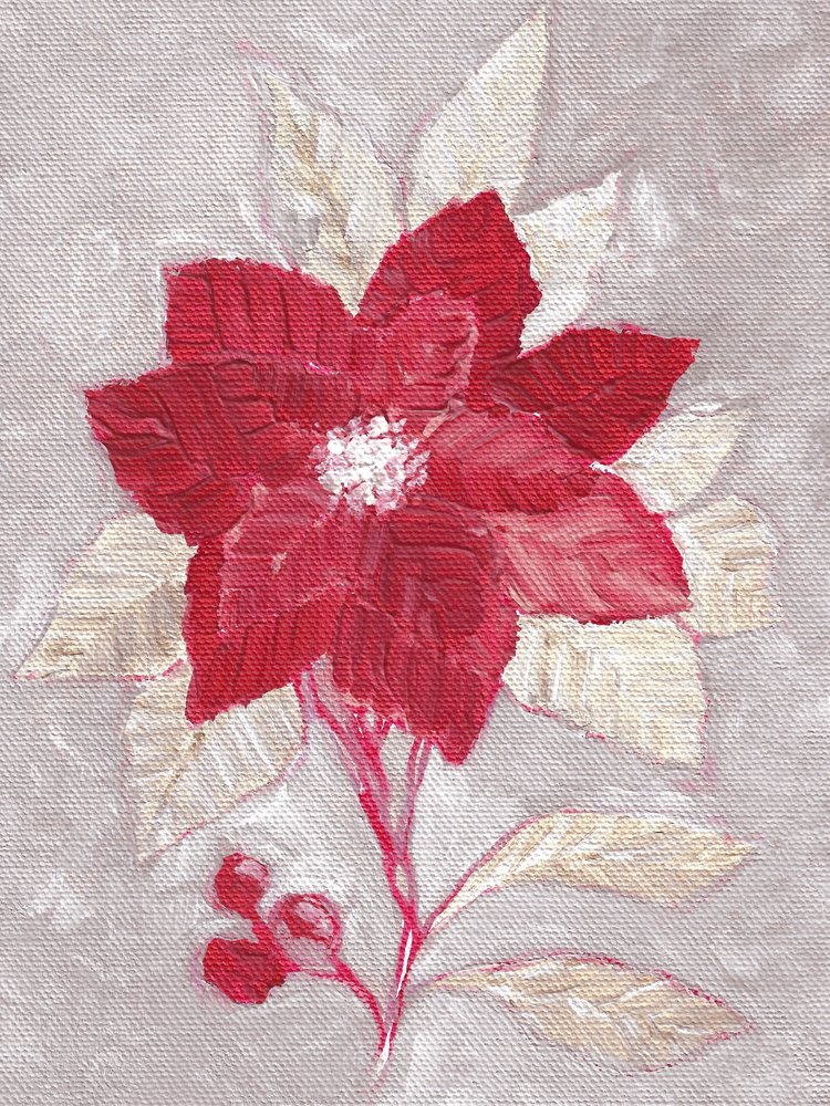 Poinsettia roja con textura de Nikita Jariwala