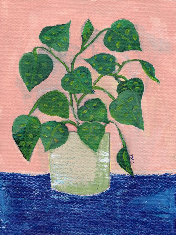 Planta de interior en maceta de colores vivos de Nikita Jariwala