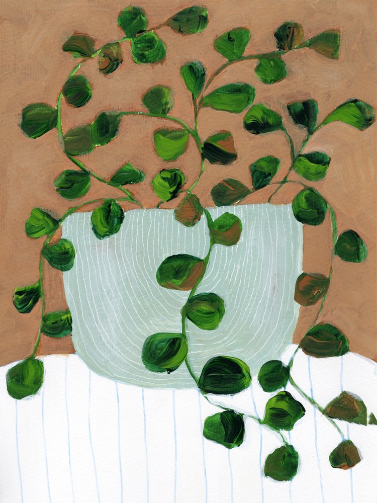 Maceta para plantas de interior de Nikita Jariwala