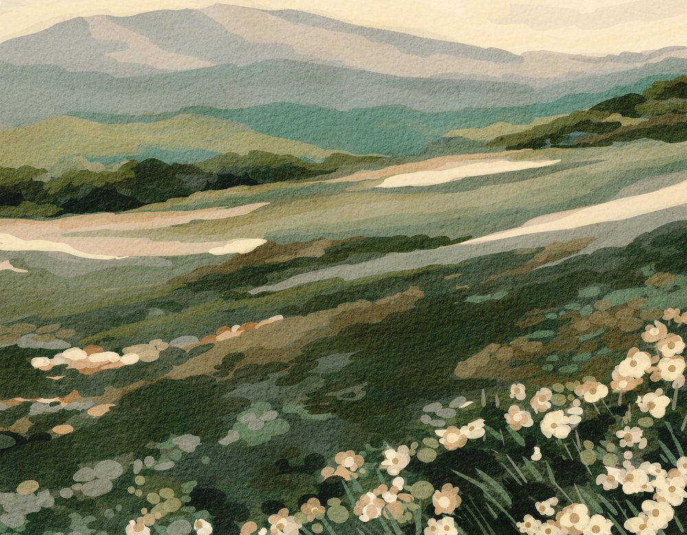 Paisaje de la montaña de las flores silvestres de Nikita Jariwala