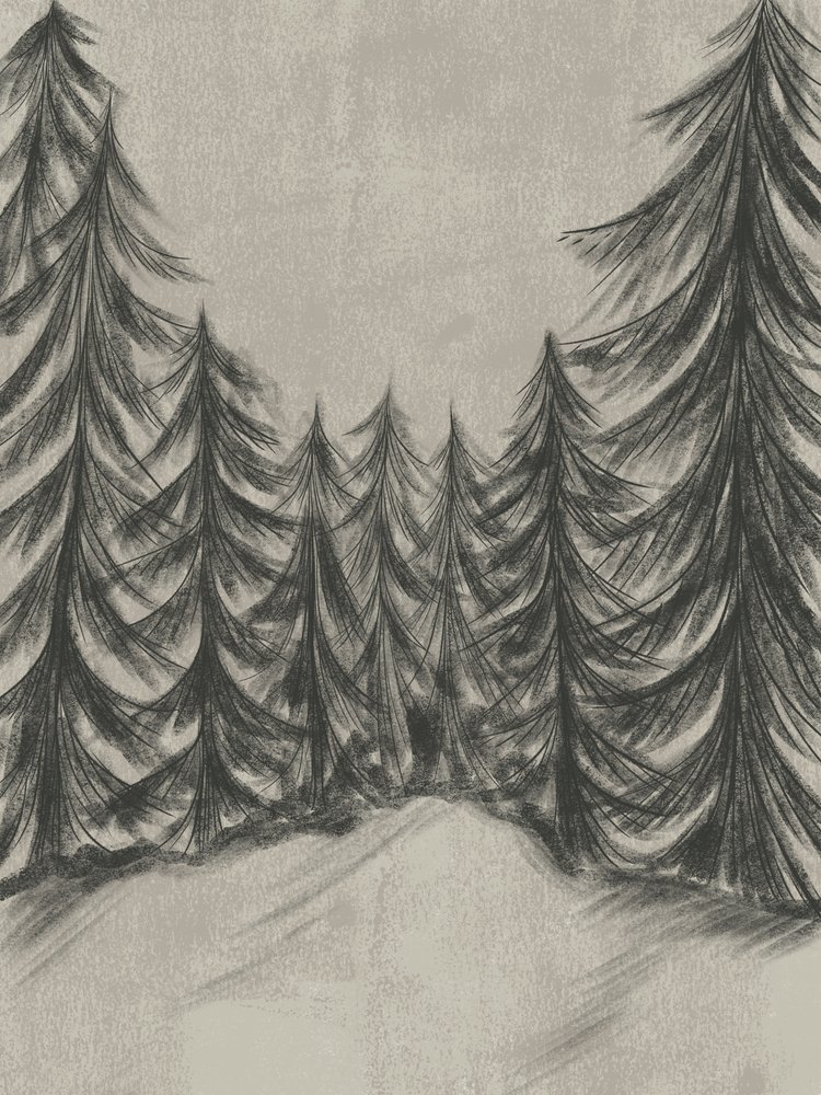 Boceto de un bosque invernal de Nikita Jariwala