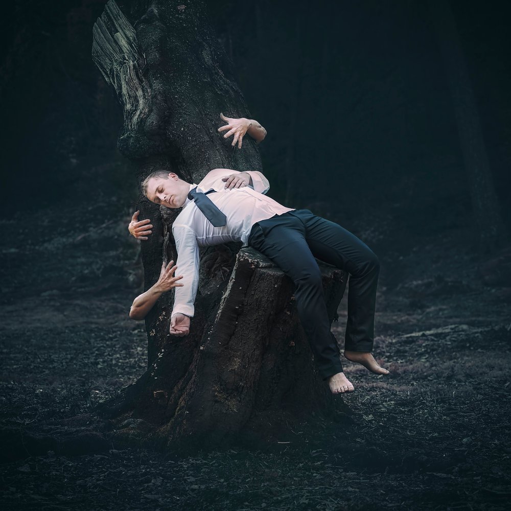 Sueño en el bosque surrealista de Nuno Araujo