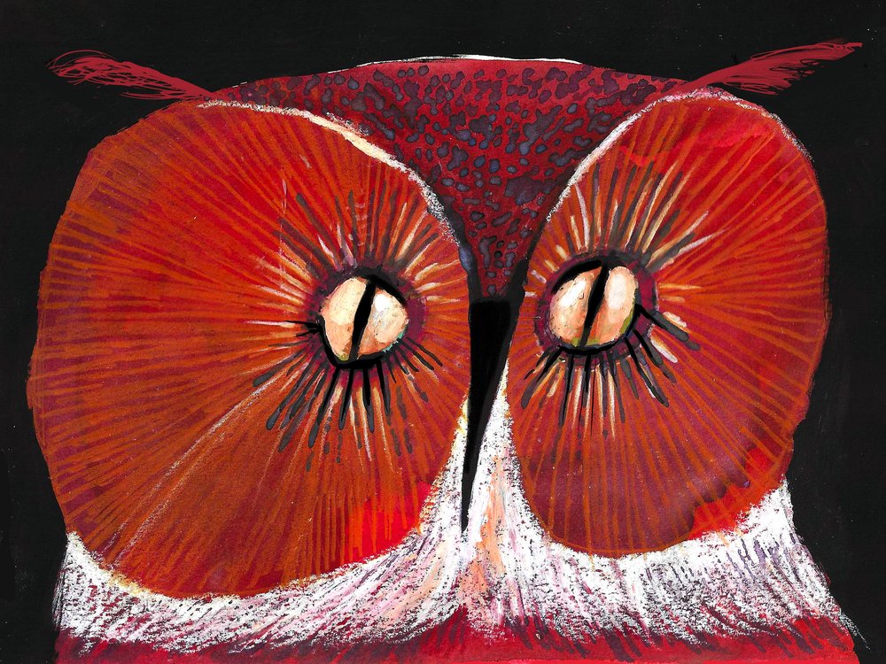 Búho rojo intenso de Olga Skomorokhova