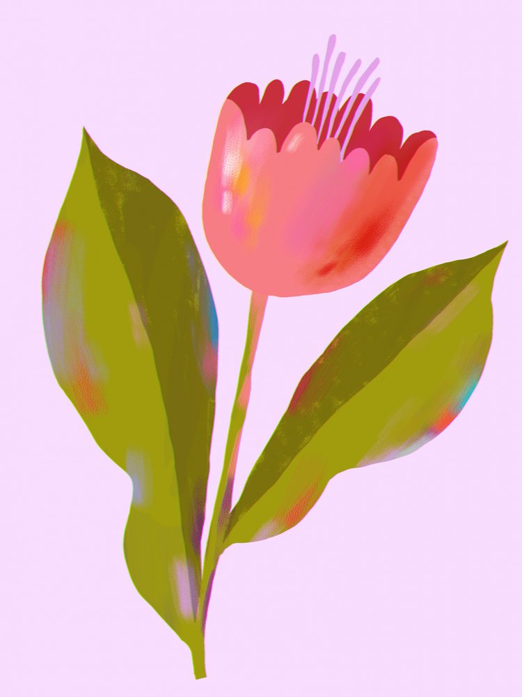 Flor de color rosa intenso de Olga Skomorokhova