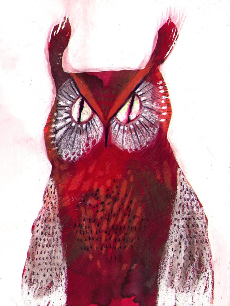 Búho rojo brillante de Olga Skomorokhova