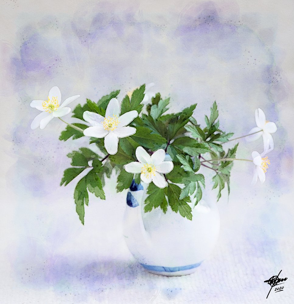Delicadas flores blancas de primavera de Osvaldo Russo