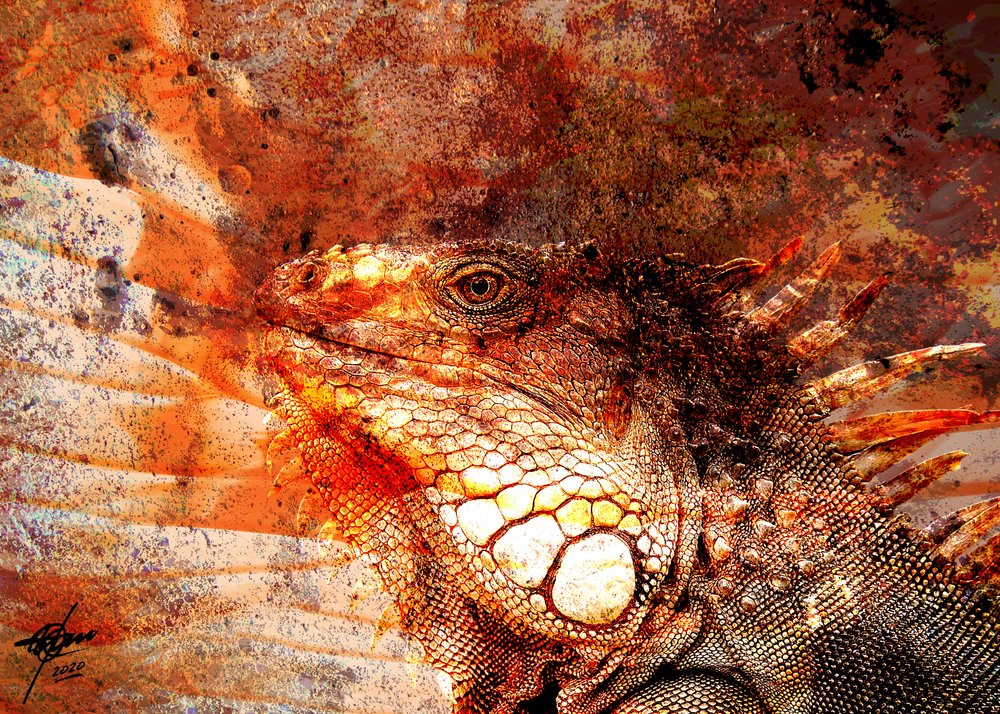Retrato de una iguana ardiente de Osvaldo Russo