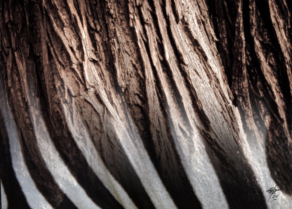 Textura de rayas de cebra de Osvaldo Russo