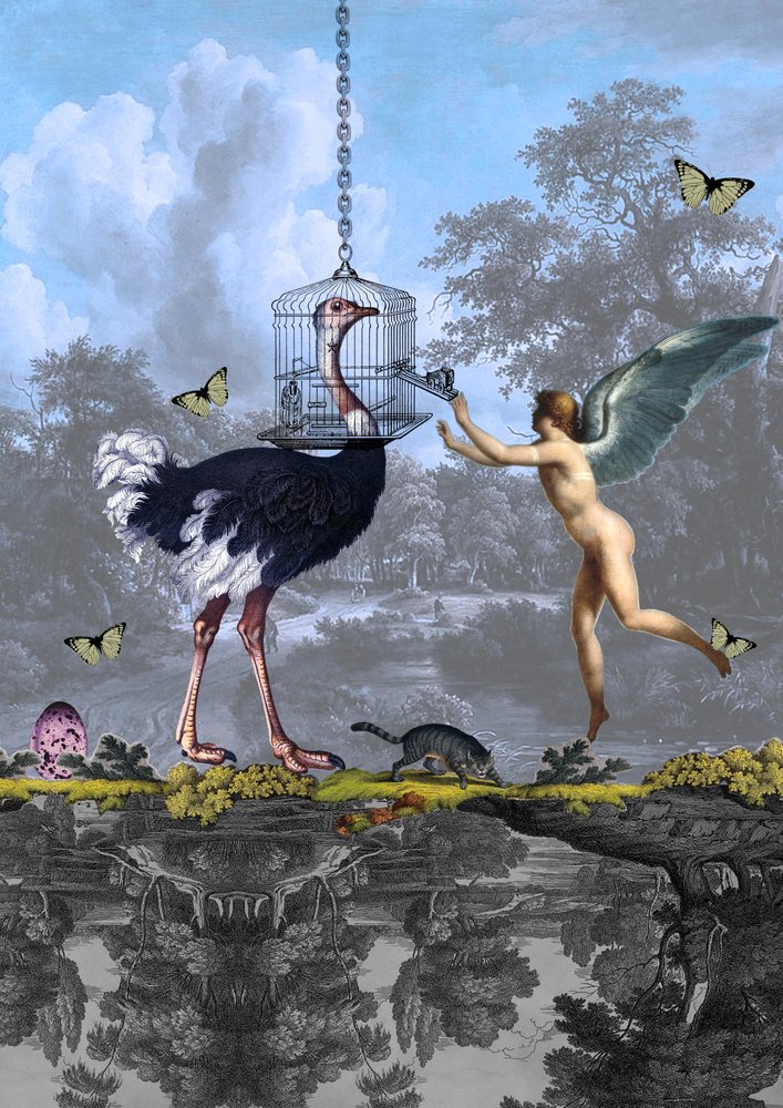 Sueño surrealista del ángel avestruz de Pascal Bouchet-Spiegel