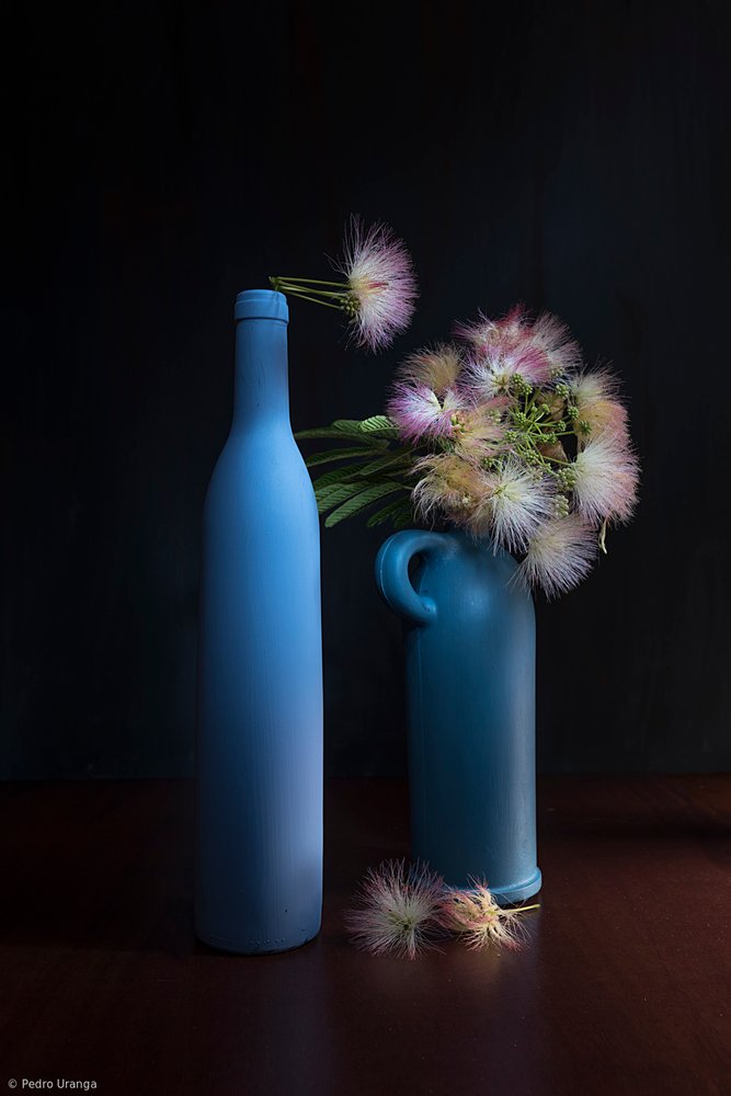 Azules y rosas botánicos de Pedro Uranga