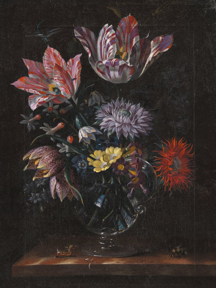 Desconocido, por Jacob Marrel de Pictufy