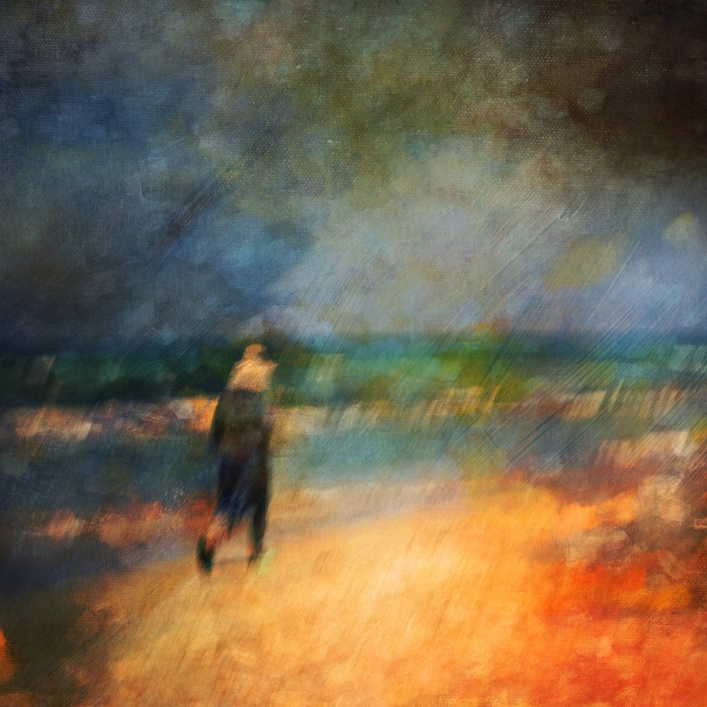 Paseo solitario por la playa de Rachel Pansky