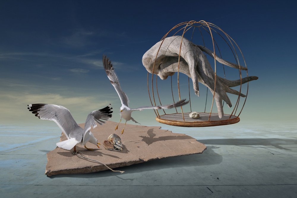 Las gaviotas escapan de una jaula surrealista de Radoslav Penchev