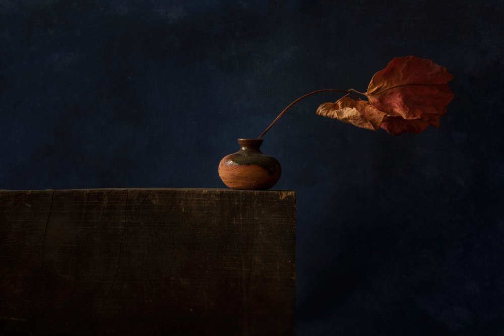 Naturaleza muerta de otoño oscuro de Ramiz Sahin