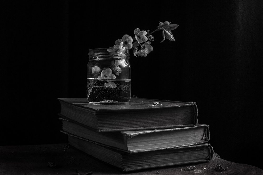 Moody se entusiasma con los libros de Ramiz Sahin