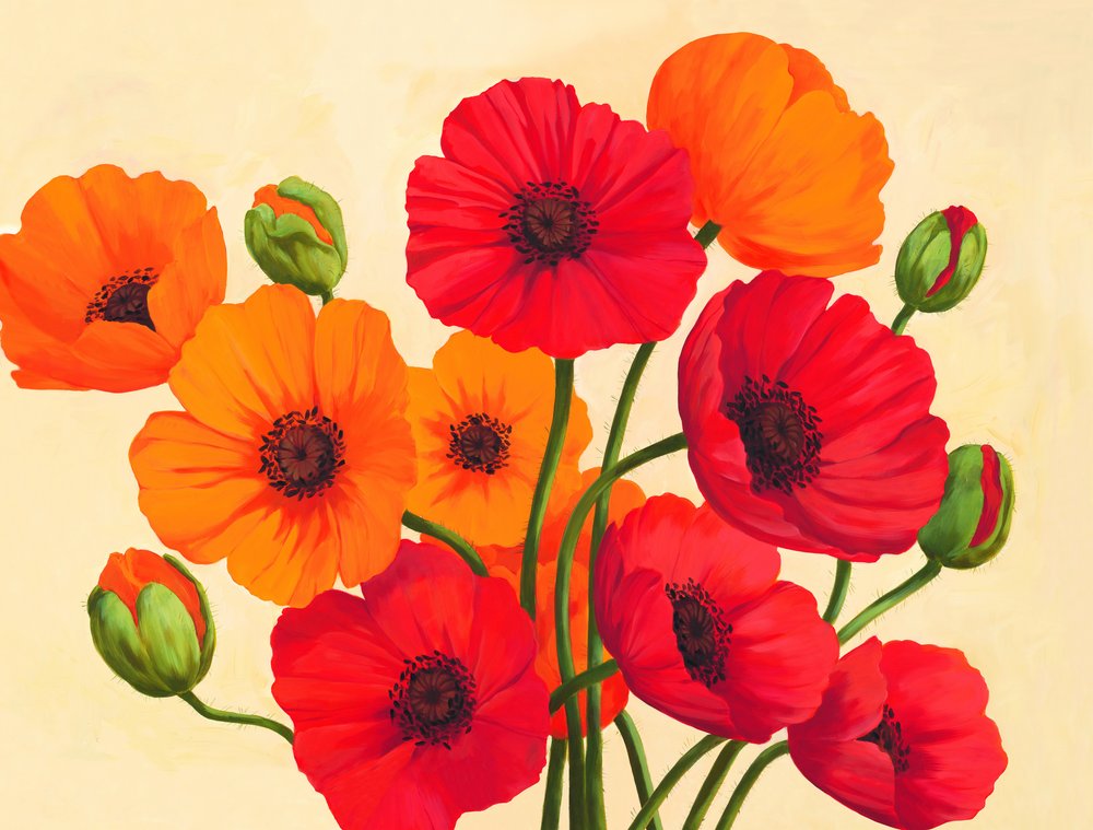 Amapolas rojo anaranjadas de Renate Holzner