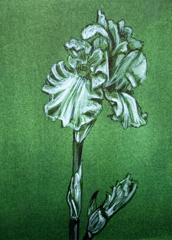 Elegante iris verde de Renee Machan Cottagecore Artist