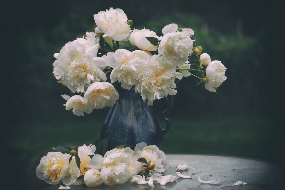 Naturaleza muerta con peonías blancas de Rob Li