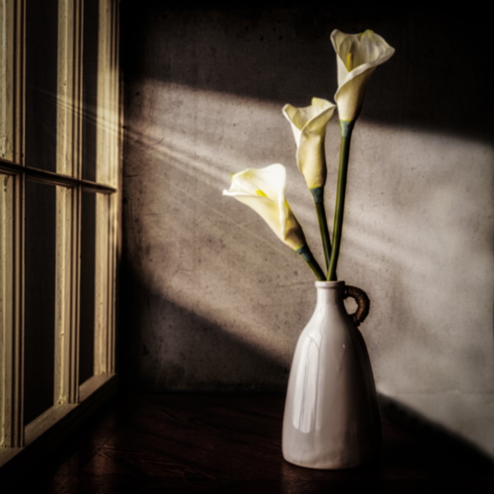 Luz de ventana «Calla Lilies» de Rob Ryan
