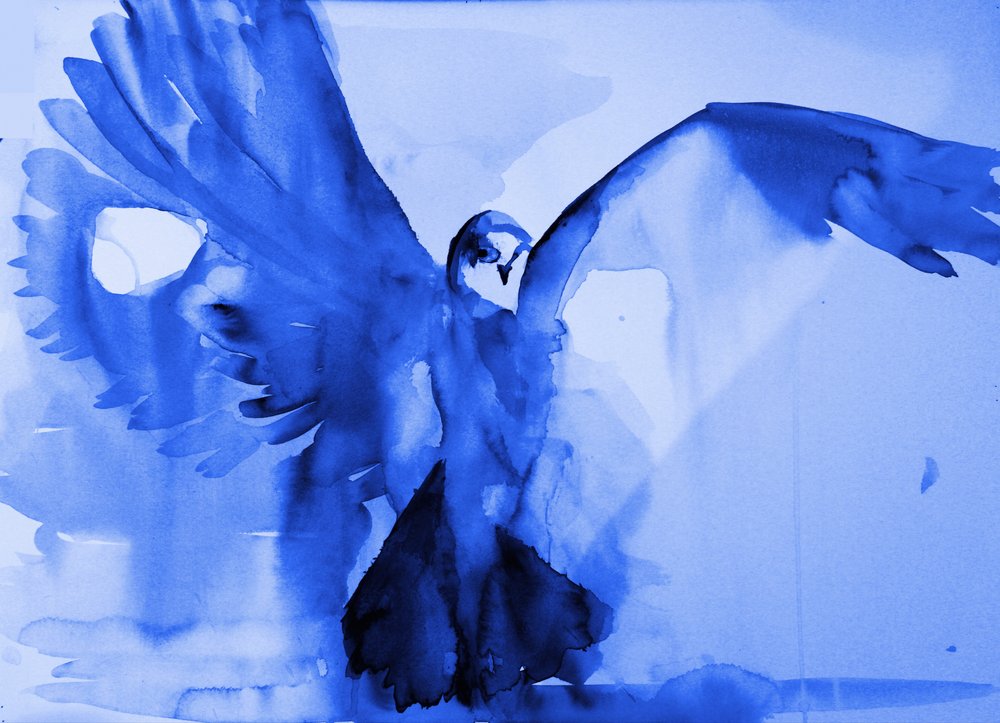 El vuelo de la paloma azul de RodMacIver