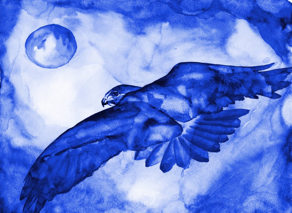 Vuelo de la Luna del Halcón Azul de RodMacIver