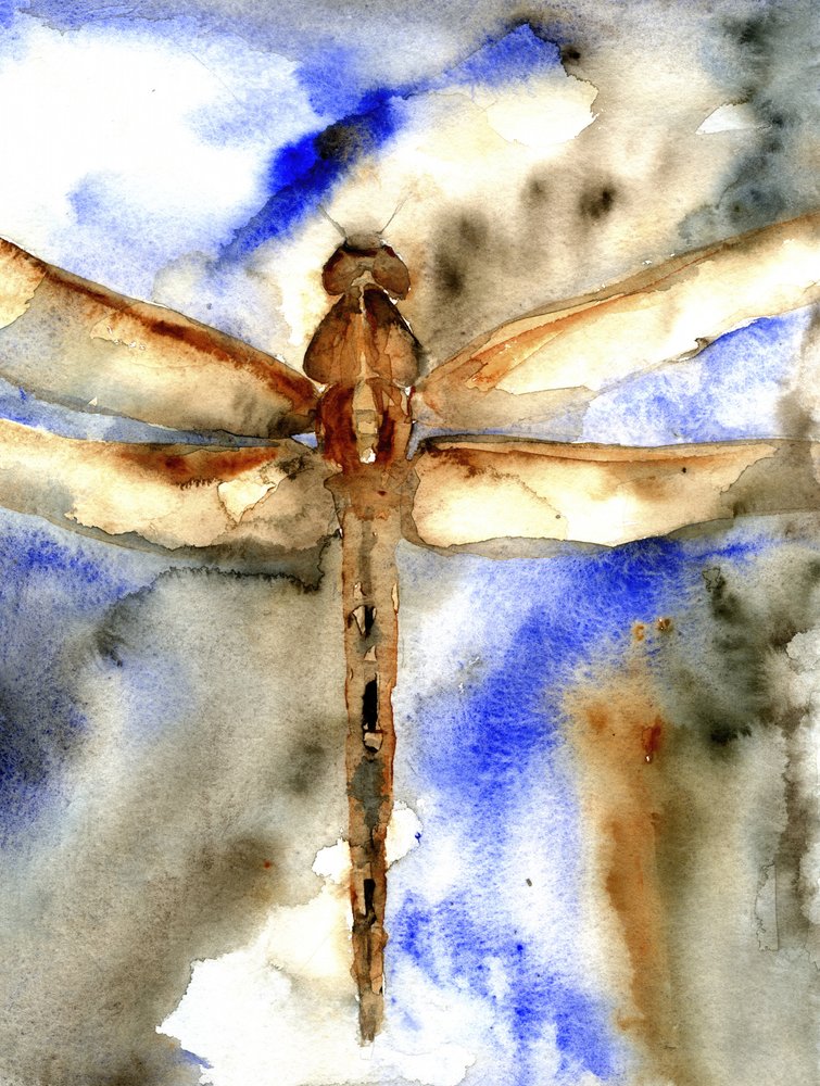 Libélula en acuarela azul de RodMacIver