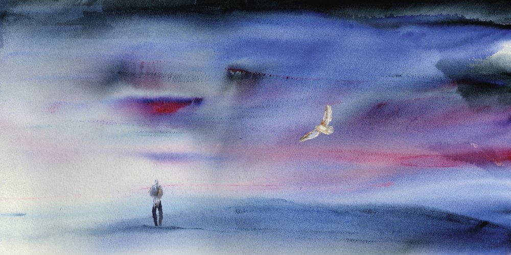 Un vuelo de ensueño al atardecer de RodMacIver