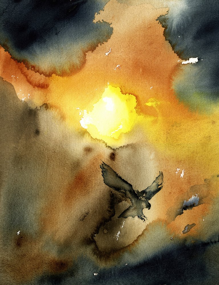 Águila volando al atardecer de RodMacIver