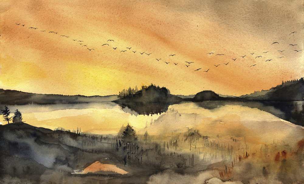  de RodMacIver