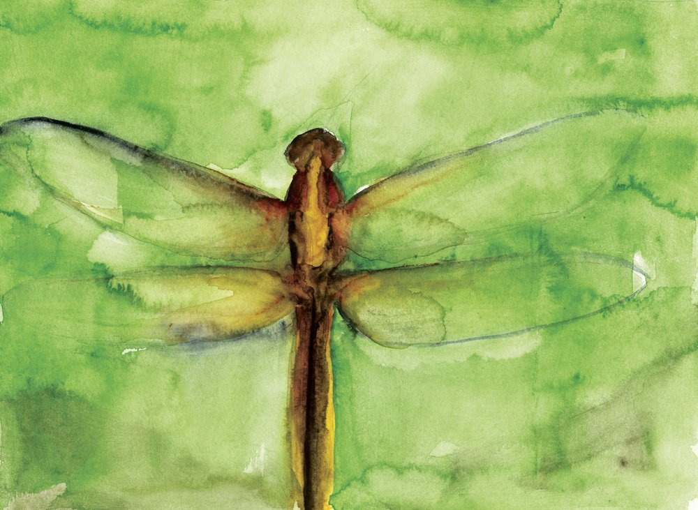 Acuarela de una libélula verde de RodMacIver