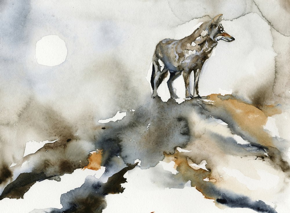 La luna del lobo solitario de RodMacIver