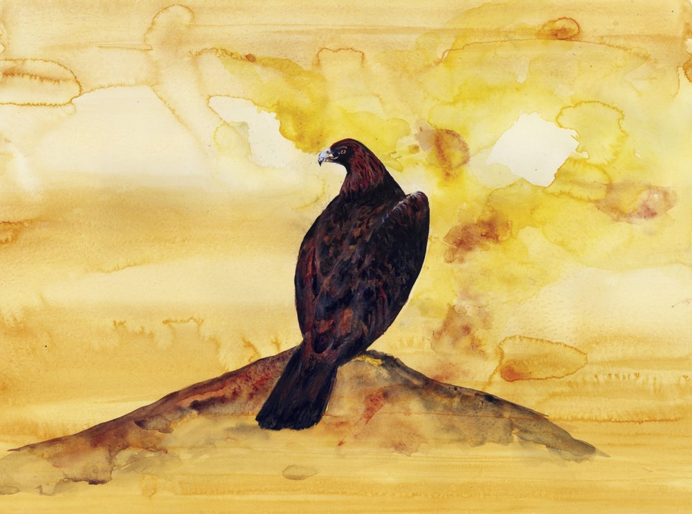 El majestuoso águila real de RodMacIver