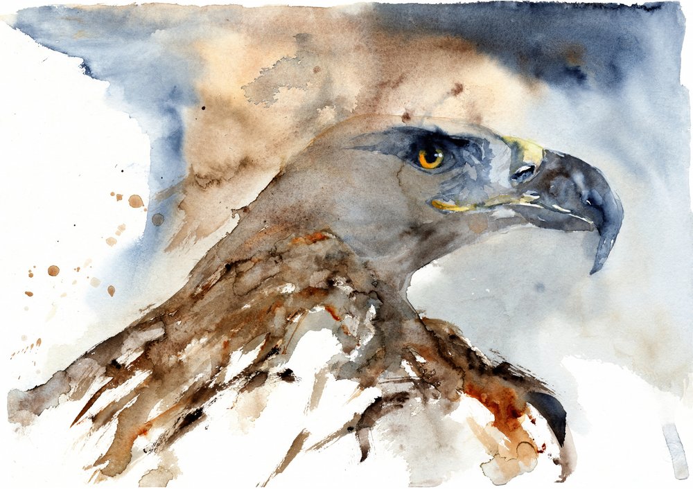 Majestuoso águila en acuarela de RodMacIver