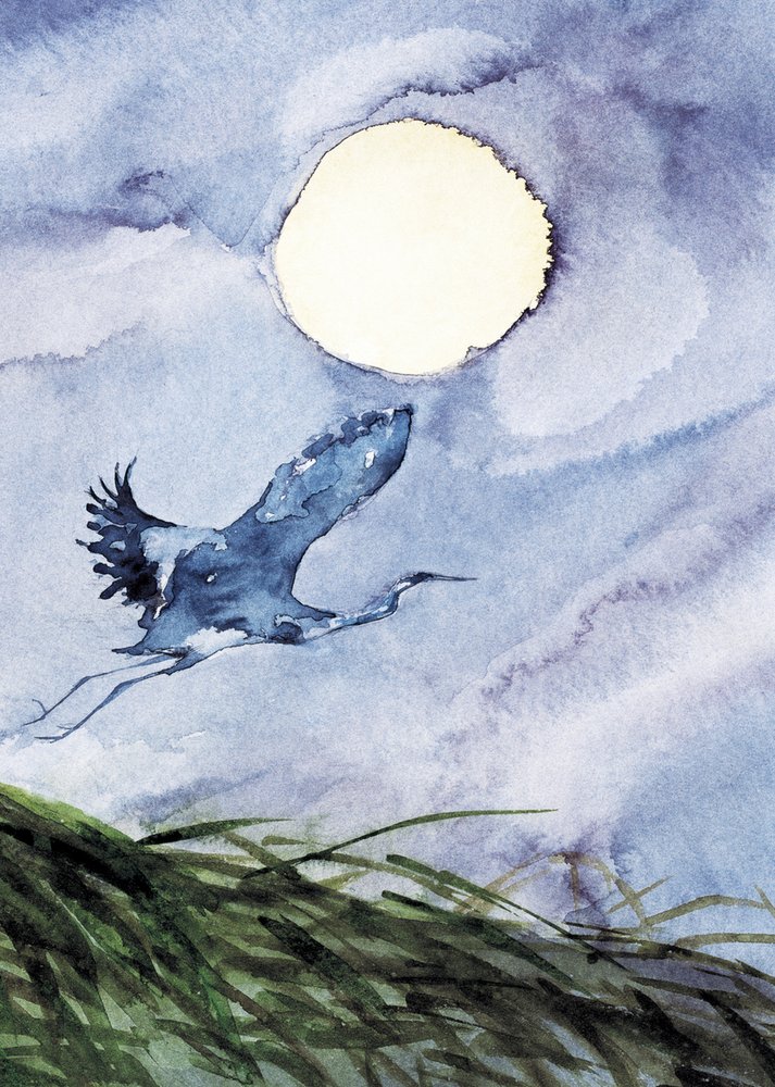 Vuelo de garzas a la luz de la luna de RodMacIver