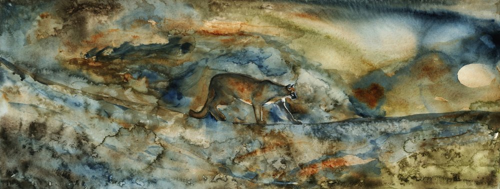 El paso de Mountain Lion de RodMacIver