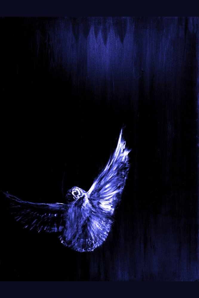 El vuelo del búho azul místico de RodMacIver