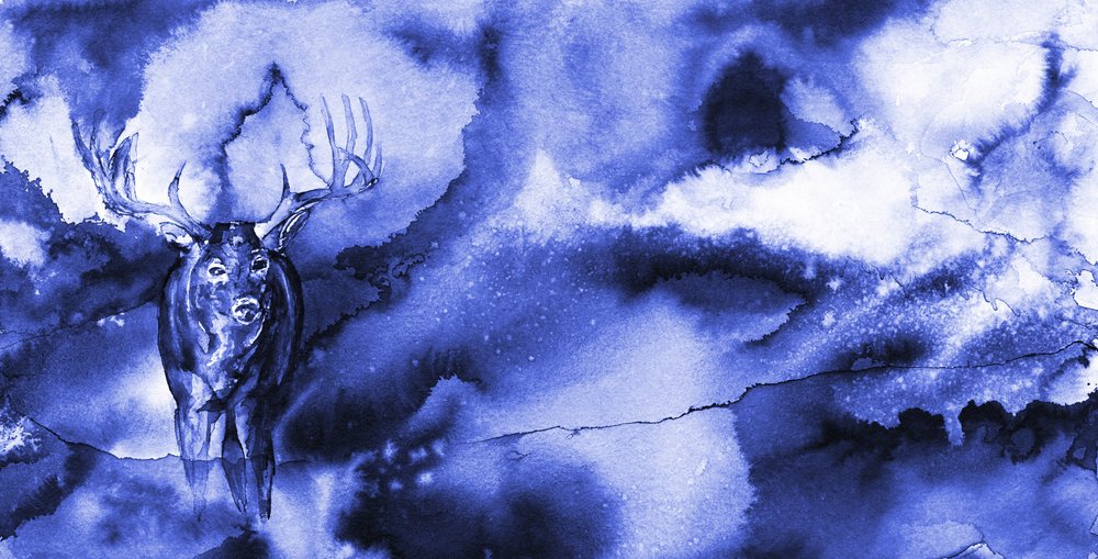El ciervo azul místico de RodMacIver