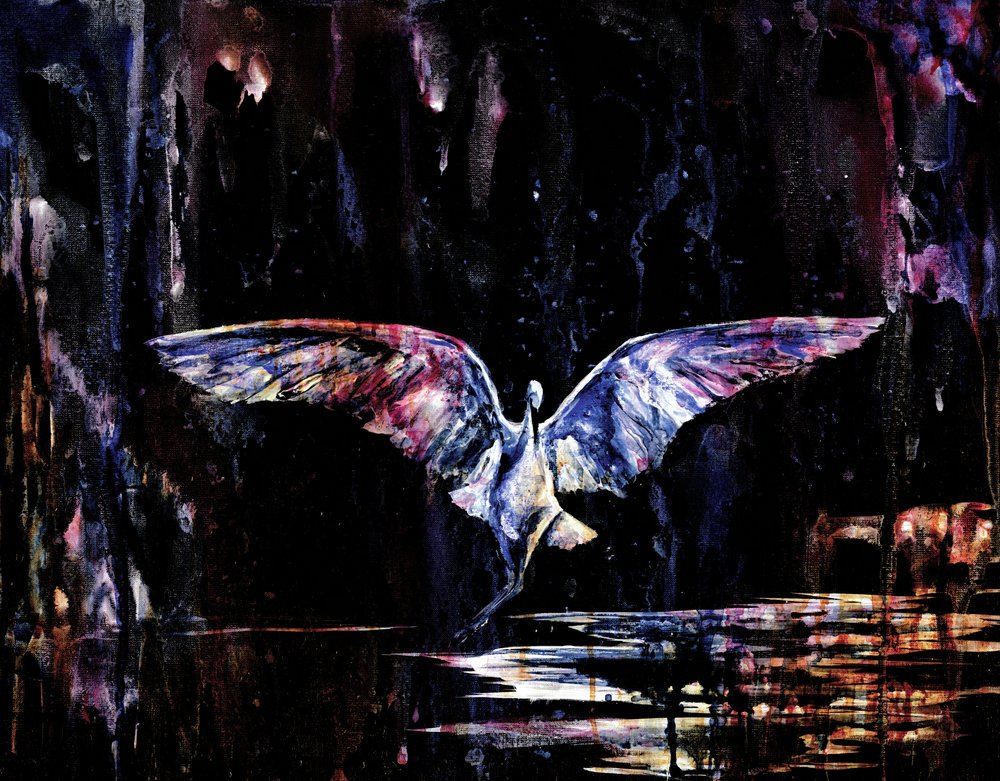 Vuelo nocturno místico de RodMacIver