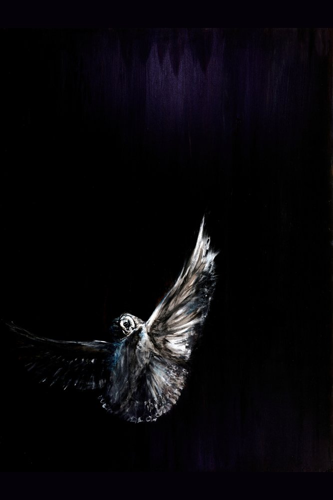 El vuelo nocturno del búho de RodMacIver