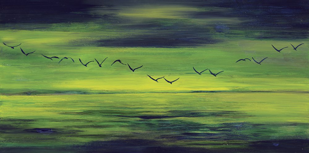 Vuelo verde y sereno de RodMacIver
