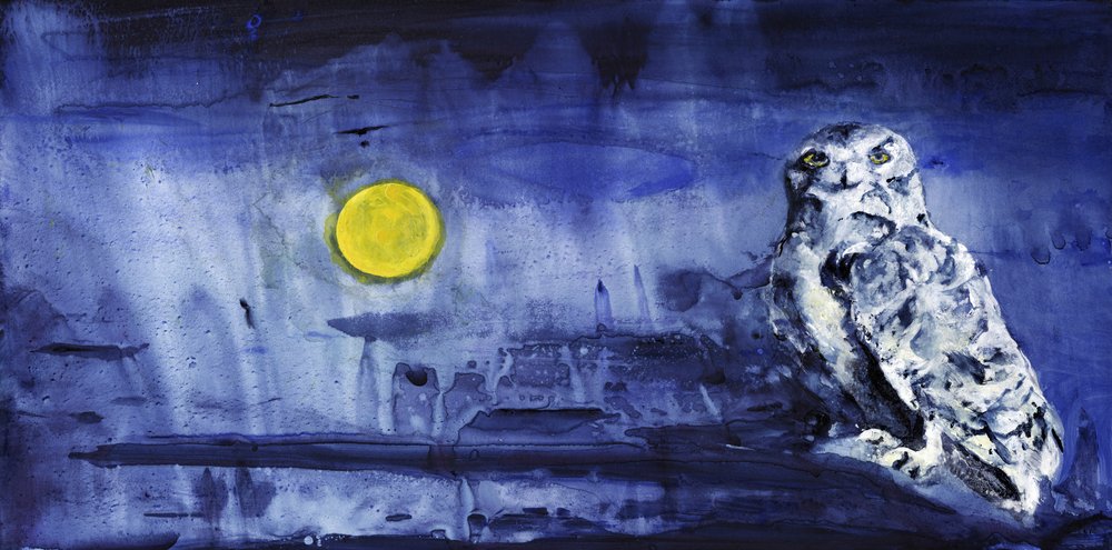 Luna de la lechuza nival de RodMacIver