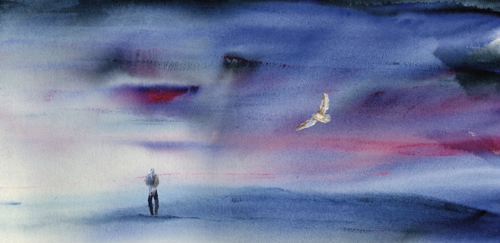 Figura solitaria: el vuelo del búho de RodMacIver