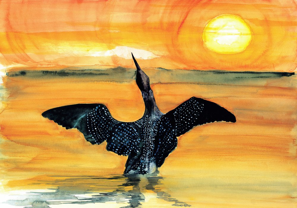 Puesta de sol vibrante en Loon de RodMacIver
