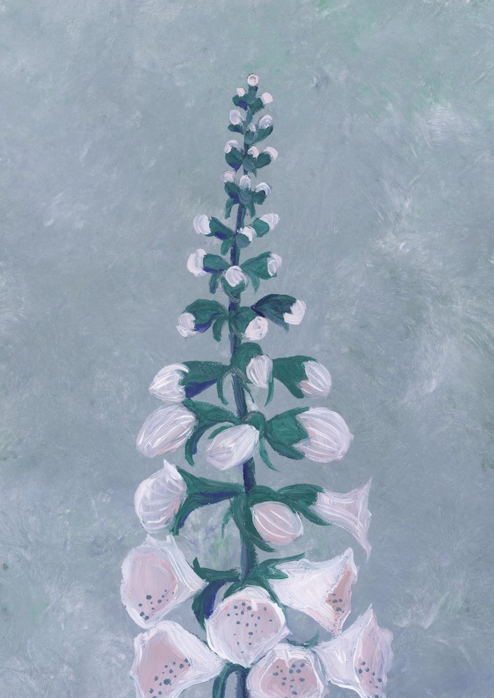 Flor de dedalera blanca de Rosana Laiz Blursbyai