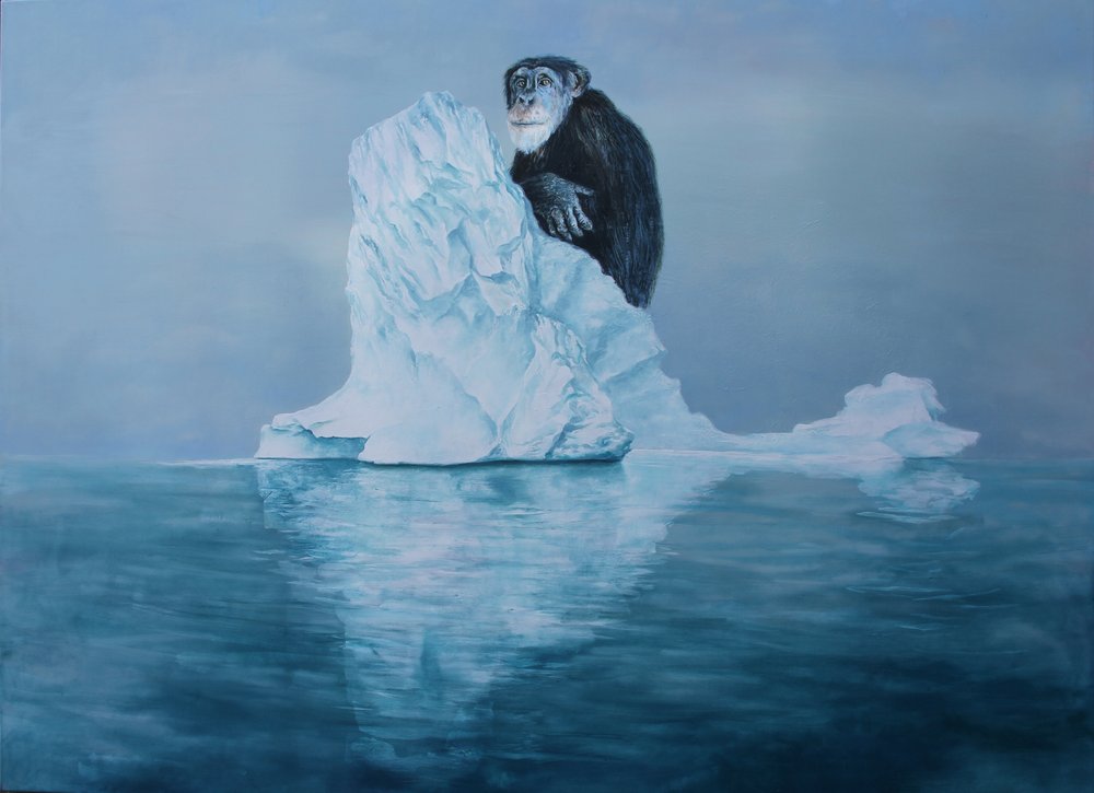 Chimpancé sobre un iceberg de Rudolf Kosow