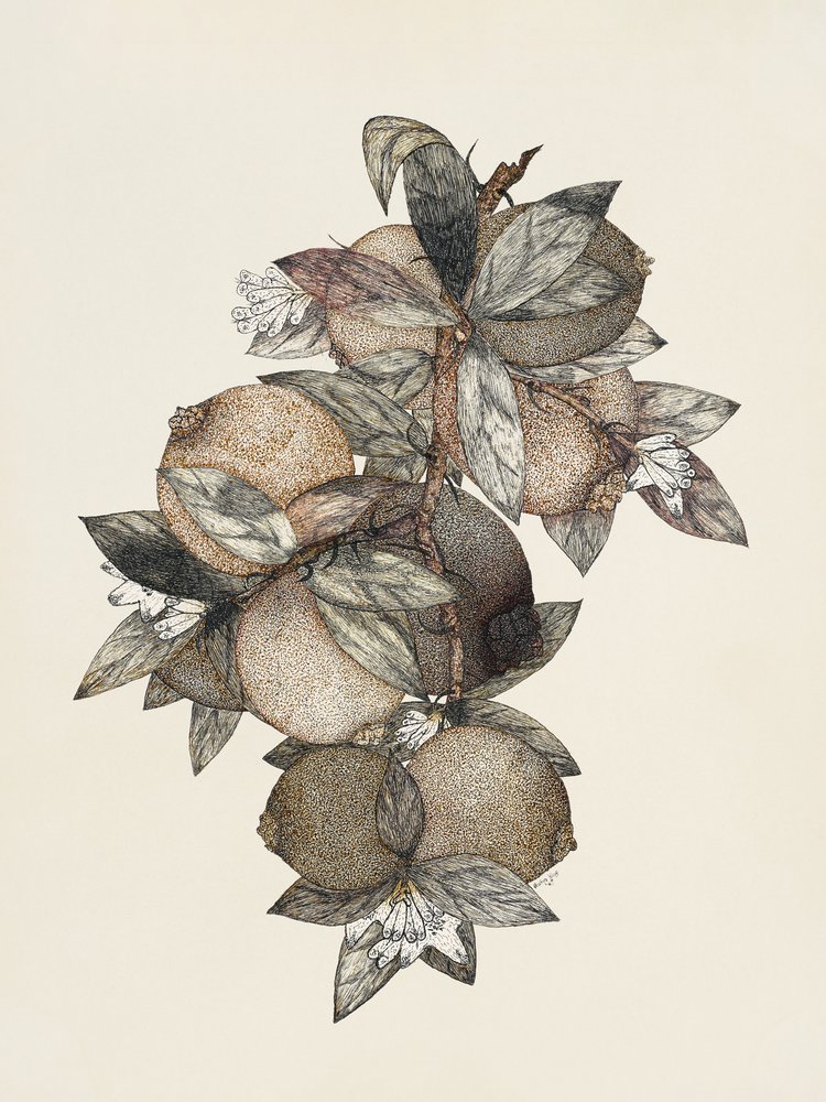  de Rufus King