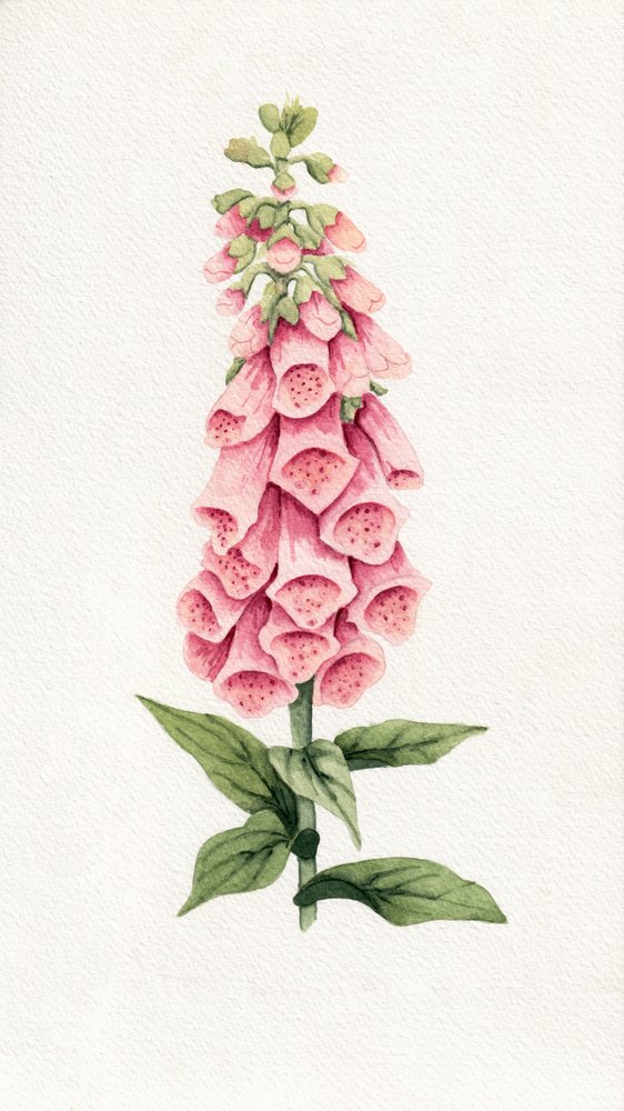 Delfinio rosa delicado de Salome