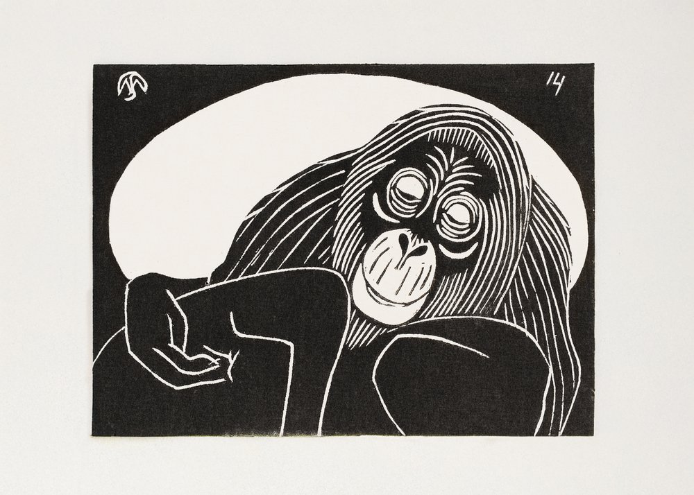 Orangután de Samuel Jessurun de Mesquita