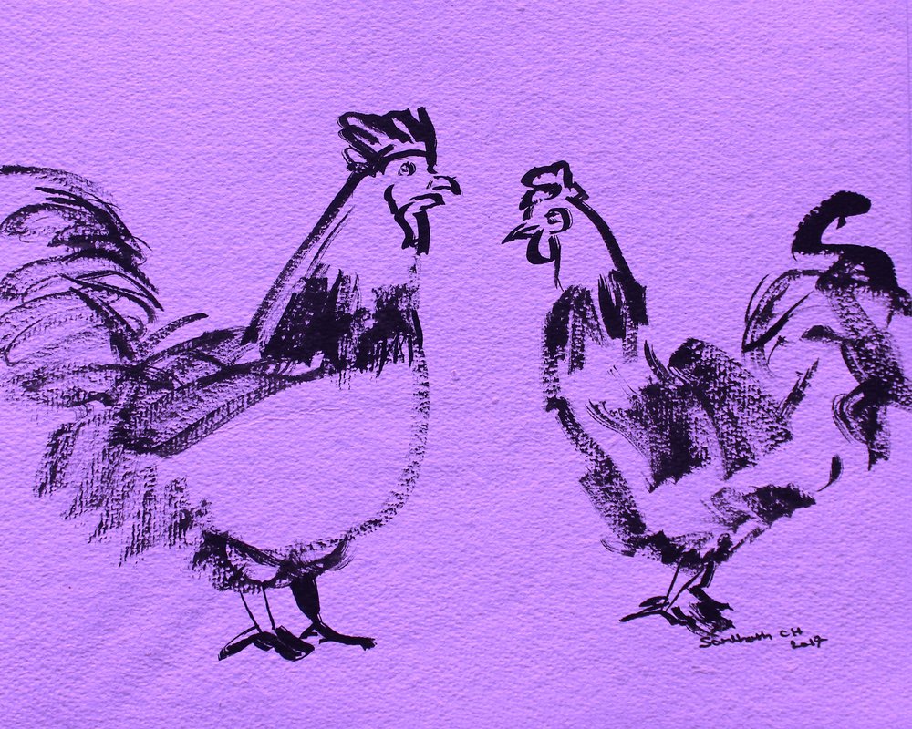Boceto de gallos audaces de Santhosh ch